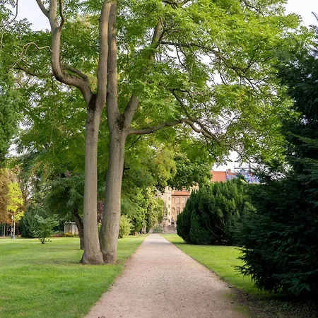 Maximi By Rosini - Gegenüber Dom&nahe Schloss Merseburg, Ideal Für Geschäftsreisende, Familien&longstay *