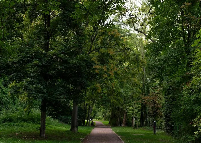 Maximi By Rosini - Gegenueber Dom & Nahe Schloss Merseburg, Ideal Fuer Geschaeftsreisende, Familien & Longstay